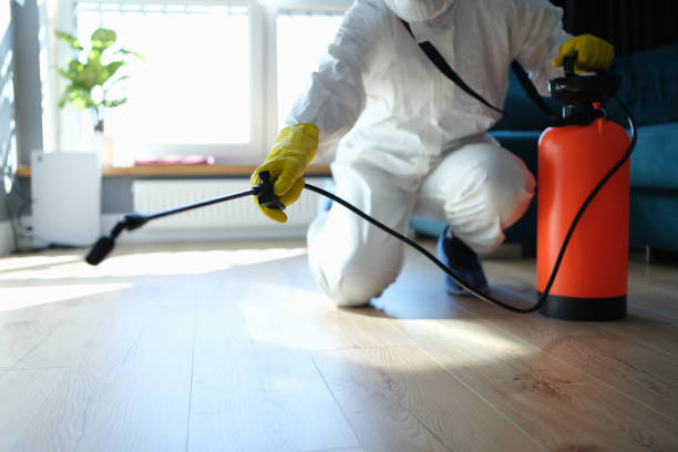 Reliable Sewage Cleanup contractor in Lakewood, IL by Trauma Clean Pros
